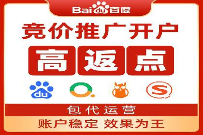 SEM广告投放的技巧与策略——成功案例分享